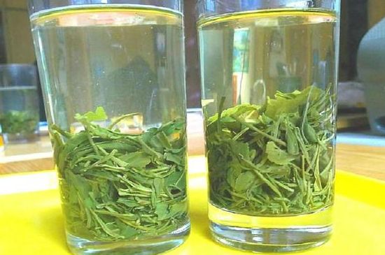 茶葉為什么不能亂送人，買茶葉一次送一盒還是兩盒