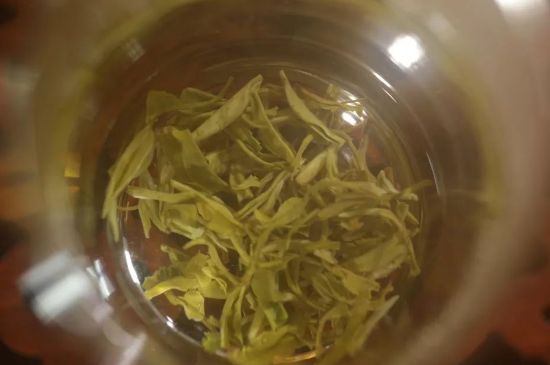 碧螺春正確泡法和飲用，碧螺春茶泡茶方法與溫度
