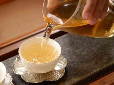 茶葉的專業(yè)知識，關(guān)于茶的基本知識大全