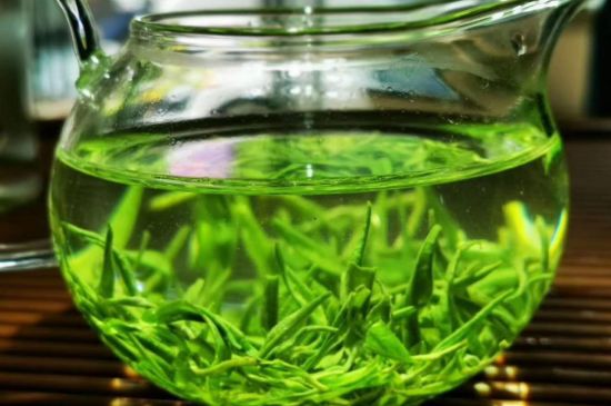 喝黃金茶禁忌，什么人不能喝黃金芽茶？