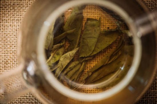 苦丁茶副作用，苦丁可以經(jīng)常喝嗎？