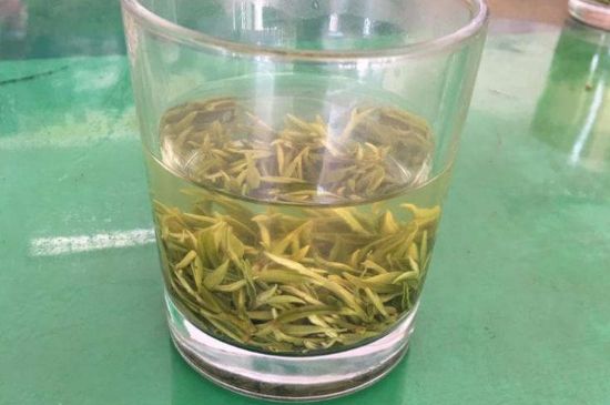 碧螺春正確泡法和飲用，碧螺春茶泡茶方法與溫度