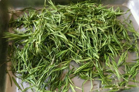 哪類人不適合喝石竹茶，石竹茶的功效與禁忌