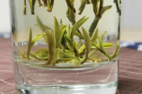 黃山毛峰怎么沖泡，黃山毛峰要多少溫度的水泡？