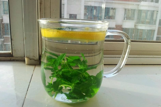 薄荷茶的功效與作用，喝薄荷茶有什么好處？