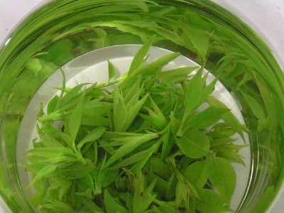 茶葉具有什么功效，茶葉的功效與作用大全