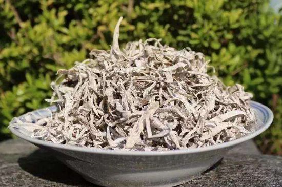 麗江雪茶的功效與作用，白雪茶有什么功效和作用