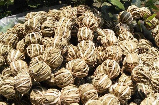 鷓鴣茶的禁忌，海南鷓鴣茶副作用