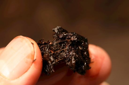 云南普洱茶古老的“酸茶”歷史