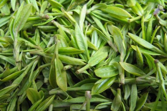 世界最貴的茶葉排行榜，十大最貴的茶