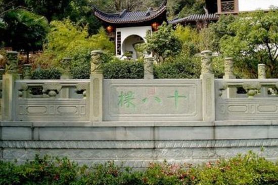 世界最貴的茶葉排行榜，十大最貴的茶