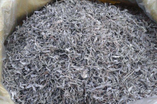 怎樣辨別莓茶發(fā)霉了，莓茶發(fā)霉和白霜的區(qū)別