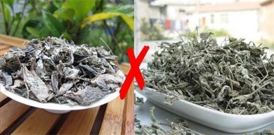 張家界茅巖莓茶與藤茶是同一種茶嗎，藤茶跟莓茶一不一樣？