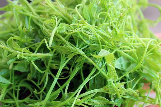 茅巖莓茶別名是什么，莓茶別名叫藤茶嗎？