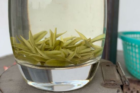 安吉白茶耐寒嗎，白茶適合放冰箱嗎