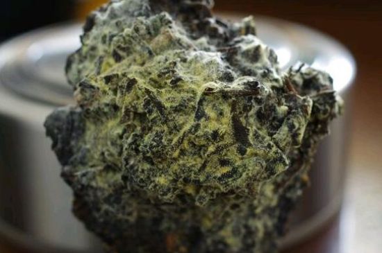 涇渭茯茶保質(zhì)期多久，陜西涇渭茯茶能放幾年