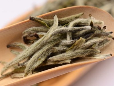 白毫銀針放幾年最好，白毫銀針什么年份最好？