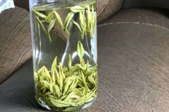 安吉白茶夏天怎么保存，安吉白茶能冷凍儲存嗎？