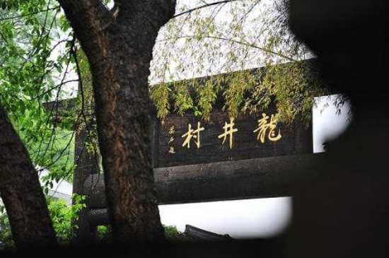 杭州買龍井茶攻略，怎么買到正宗的西湖龍井？