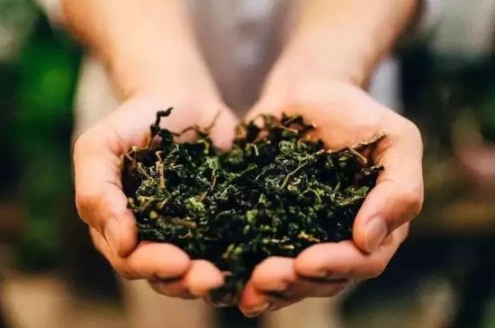 茶葉怎么炒制才香，怎樣炒茶葉更香？