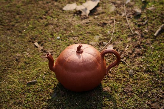 紫砂壺泡什么茶最佳，紫砂壺一般泡什么茶？