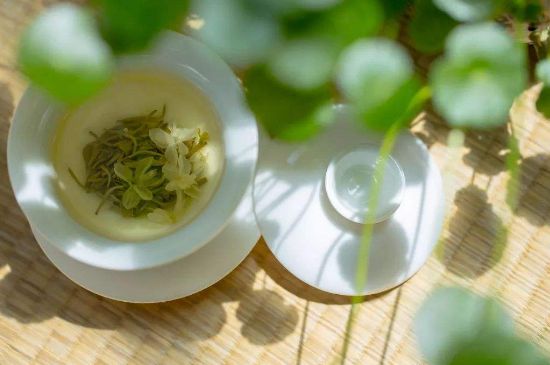 茉莉花茶6種人不要喝，什么體質(zhì)不適合喝茉莉花茶？