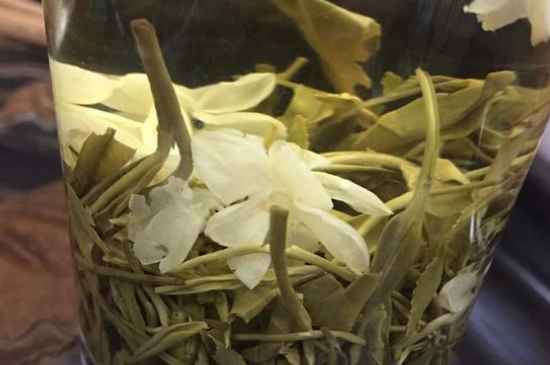 女孩喝茉莉茶的好處，茉莉茶葉的功效與禁忌