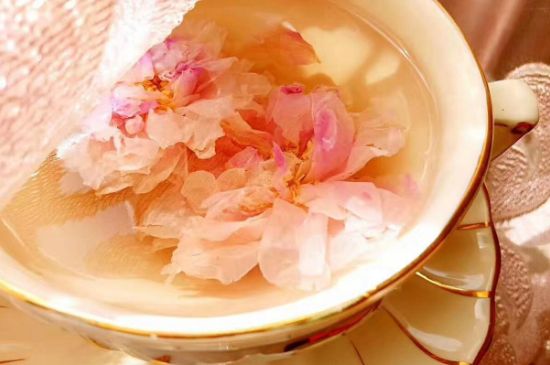 玫瑰花茶一周喝幾次，玫瑰花茶可以天天喝嗎？