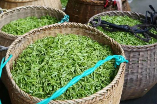 茶葉怎么炒制才香，怎樣炒茶葉更香？