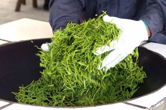 自家炒茶葉怎么炒，自己炒茶葉的步驟