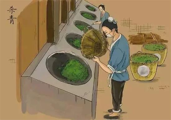 制茶八步驟，制茶工藝流程圖