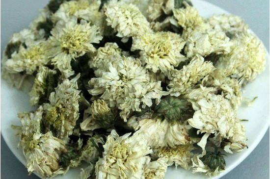菊花茶買小朵還是大朵，泡茶用的小菊花和大菊花哪個(gè)好
