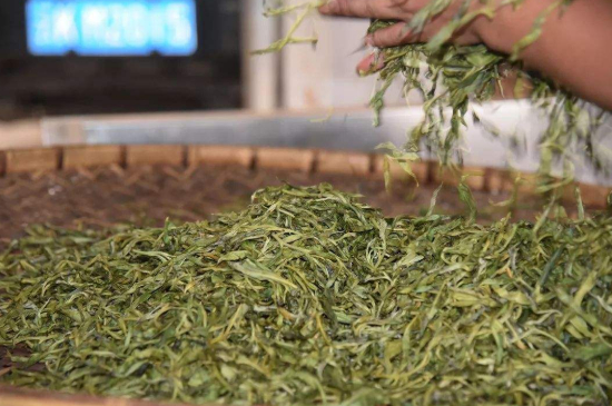 炒青綠茶與綠茶的區(qū)別，烘青和炒青哪個(gè)好喝？