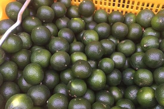 家庭自制柑普茶方法，小青柑制作9個步驟竅門（圖片）