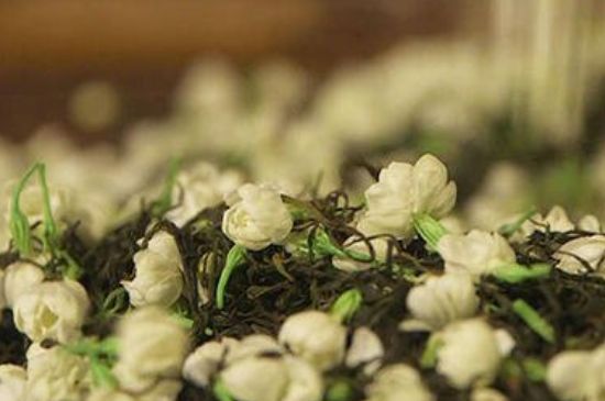 蒸茶器可以蒸花茶嗎，蒸茶器能用來蒸茉莉花茶嗎？