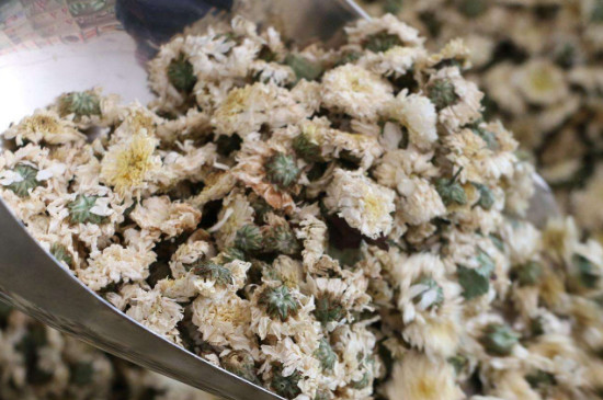 菊花茶買小朵還是大朵，泡茶用的小菊花和大菊花哪個(gè)好