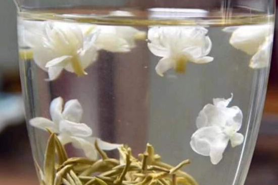 茉莉泡水禁忌，茉莉干花泡水的功效與禁忌