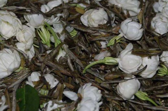 茉莉龍珠怎么做的，茉莉龍珠的制作工藝