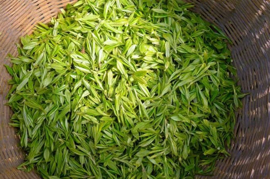 烏牛早和龍井的區(qū)別圖片，龍井43號和烏牛早茶的對比