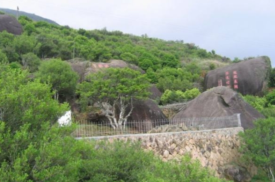 宋種一號價值為什么高，鳳凰單樅宋種1號價格與產(chǎn)量多少？