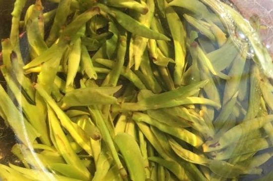 龍井是明前的好還是雨前的好，明前茶和雨前茶哪個好喝？