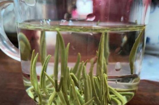 踏雪蘭妃是什么茶，踏雪蘭妃是哪里的茶葉?