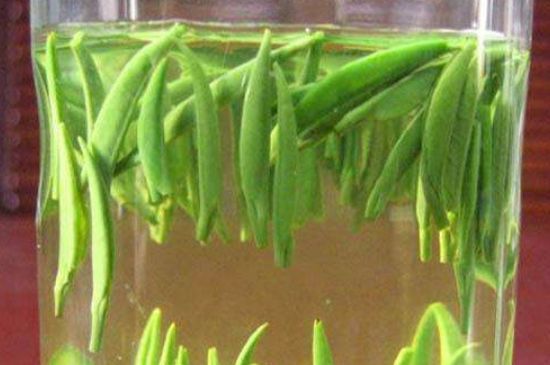 竹葉青和毛尖的區(qū)別，毛尖和竹葉青怎么分辨？