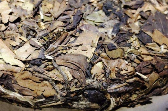 煮茶的步驟圖解，正確的煮白茶方法！