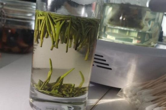 金壇雀舌算不算好茶，金壇雀舌屬于什么檔次茶葉？