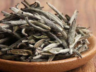 白茶有哪些品種排名，<a href=http://m.rongxm.com/fenlei/baicha/ target=_blank class=infotextkey>白茶的種類</a>大全