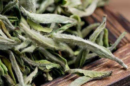 荒野銀針有什么特點，荒野銀針的味道口感咋樣？