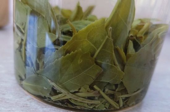 綠茶陳茶和新茶區(qū)別，綠茶怎樣區(qū)分新茶和陳茶
