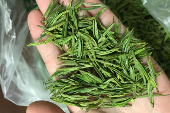 什么綠茶茶葉唇齒留香，哪個品種綠茶香氣好？
