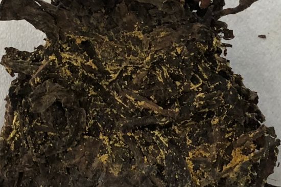 怎么知道涇渭茯茶是否變質(zhì)，茯磚茶金花和發(fā)霉的區(qū)別